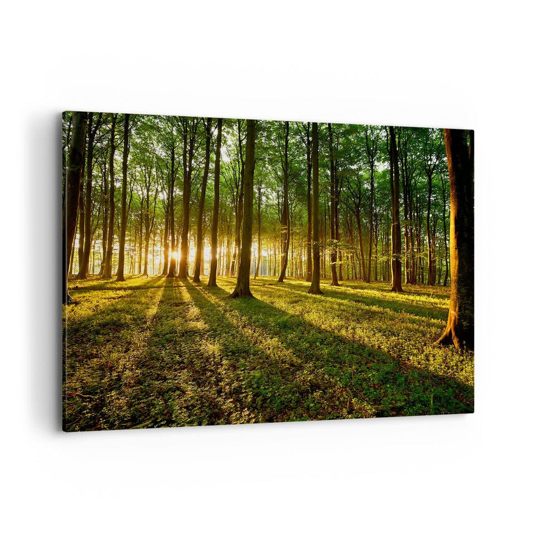 Bilder auf Leinwand 100x70cm Leinwandbild Wald grün Sonnenstrahlen Natur Gross Wanddeko Bild Schlafz