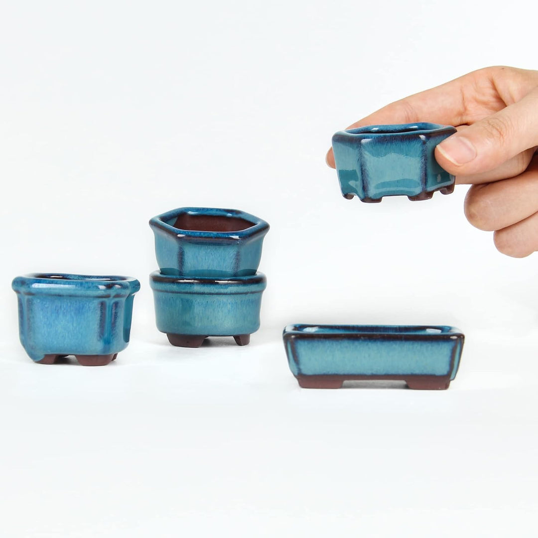 Happy Bonsai 4,5 cm, 10 Mini-glasierte Töpfe Blau, Blau