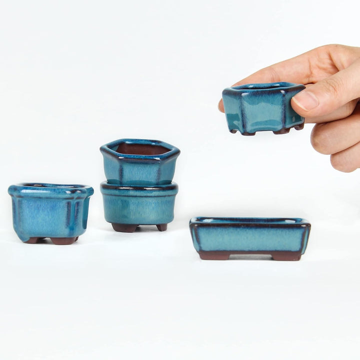 Happy Bonsai 4,5 cm, 10 Mini-glasierte Töpfe Blau, Blau