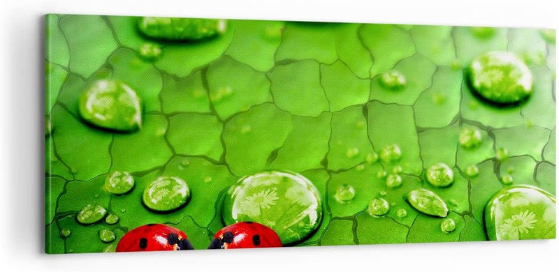 Panorama Bilder auf Leinwand 100x40cm Leinwandbild Marienkäfer Gras Blatt Tropfen Gross Wanddeko Bil