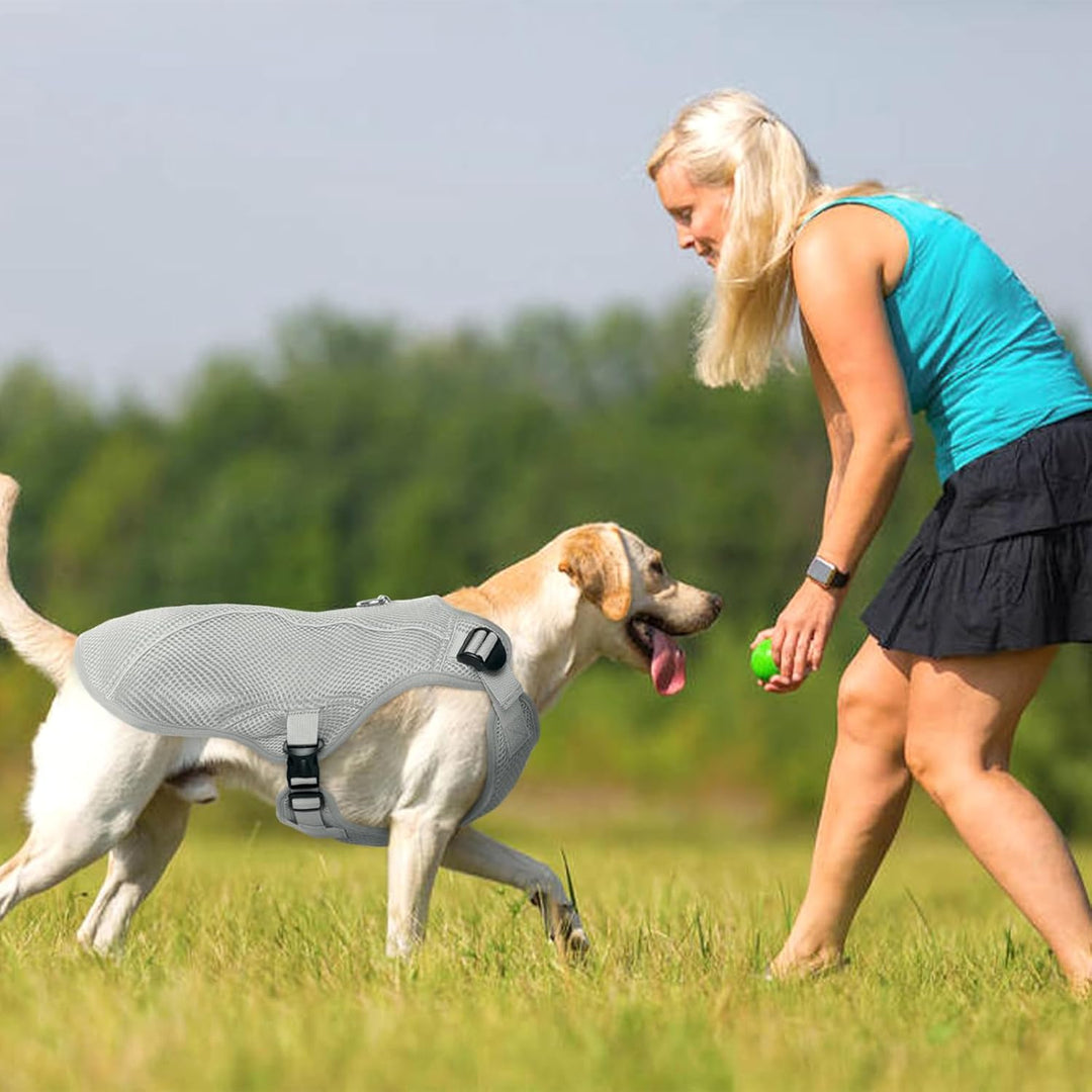 Kuoser Hund Kühlweste, Kühlweste für Hunde zur Abkühlung im Sommer, Atmungsaktive Hundekühlweste mit