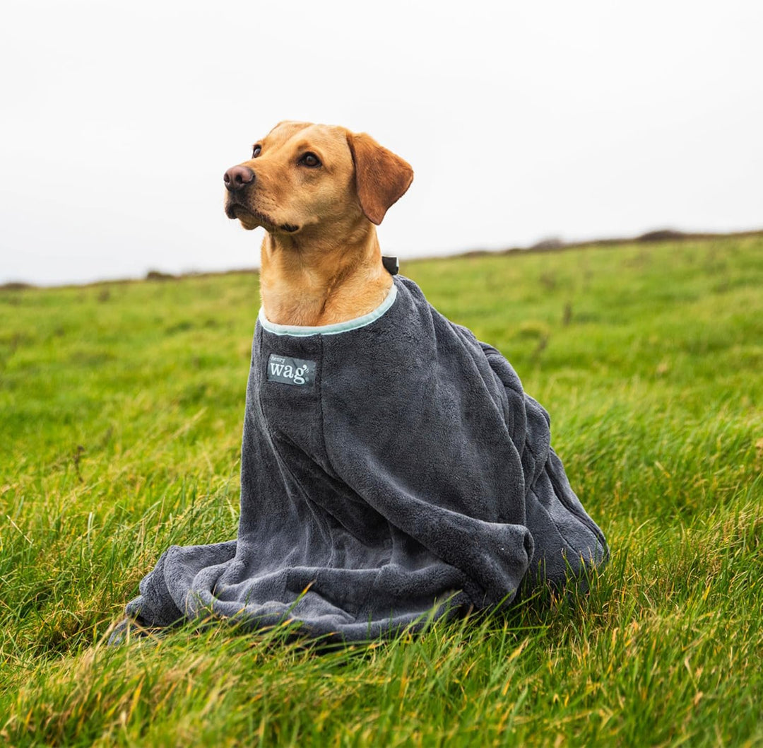 Henry Wag Hundetrockenbeutel - Weiche &amp; Hochsaugfähige Mikrofaser, schlammiges Haustierzubehör, schn