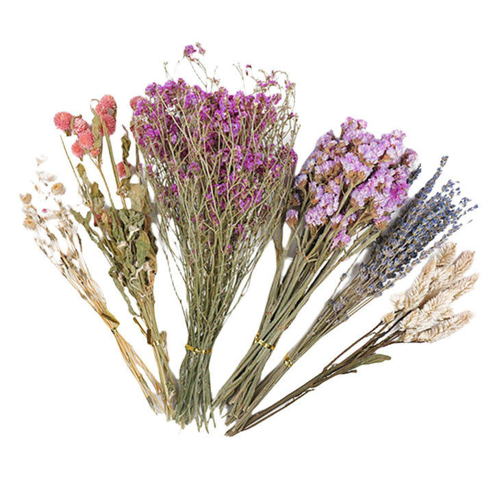 Generisch Hamster-Heublumen-Einstreu, Blumen-Hamster-Einstreu | Haustier-Blumenbettwäsche - Hauskäfi