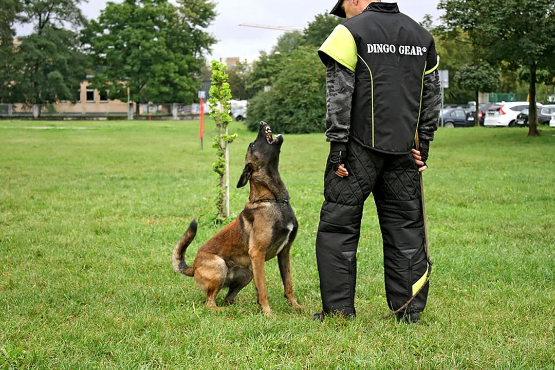 Dingo Gear Trainingsanzug für IGP Sports Agitation Köder XXL Lichtschutz Grün, XXL Lichtschutz Grün