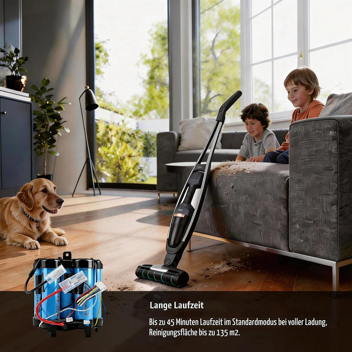 BLESYS Ersatzakku 3000 mAh für AEG QX9-1 Hand-Staubsauger, kompatibel mit QX9-1-ANIM, QX9-1-ULT, QX9