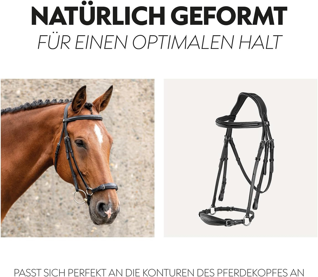 SUNRIDE hannoveranische Trense (Hannover) mit Zügel aus erstklassigem Echtleder für entspanntes Reit