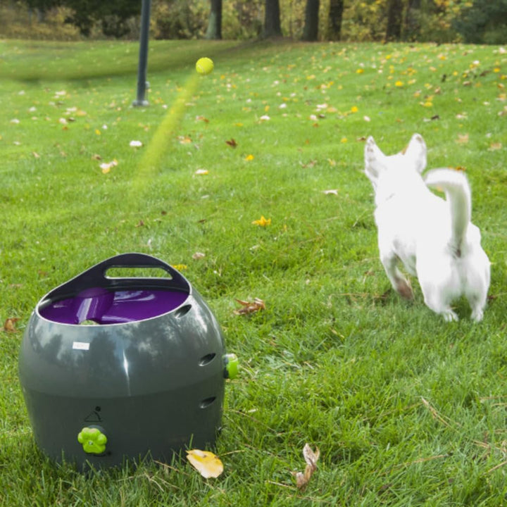 PetSafe Automatisches Hundespielzeug, interaktiver Tennisballwerfer für Hunde, wasserdicht, 1 Stück