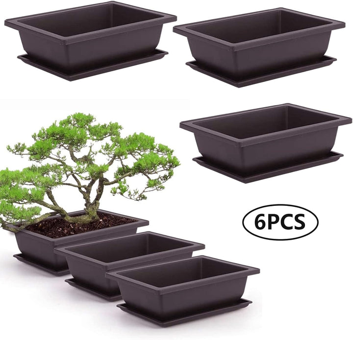 6 Stück Bonsai-Trainingstöpfe mit Tablett Rechteck Blumentopf Bonsai Schale Sukkulenten Klein Pflanz