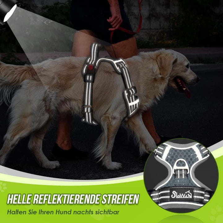 Eyein No-Pull Hundegeschirr, Air-Mesh Atmungsaktiv Brustgeschirr für kleine, mittelgrosse und grosse