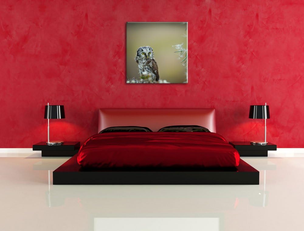 Pixxprint Kauz bestaunt Blatt als Leinwandbild Quadratisch/Grösse: 70x70 / Wandbild/Kunstdruck/ferti
