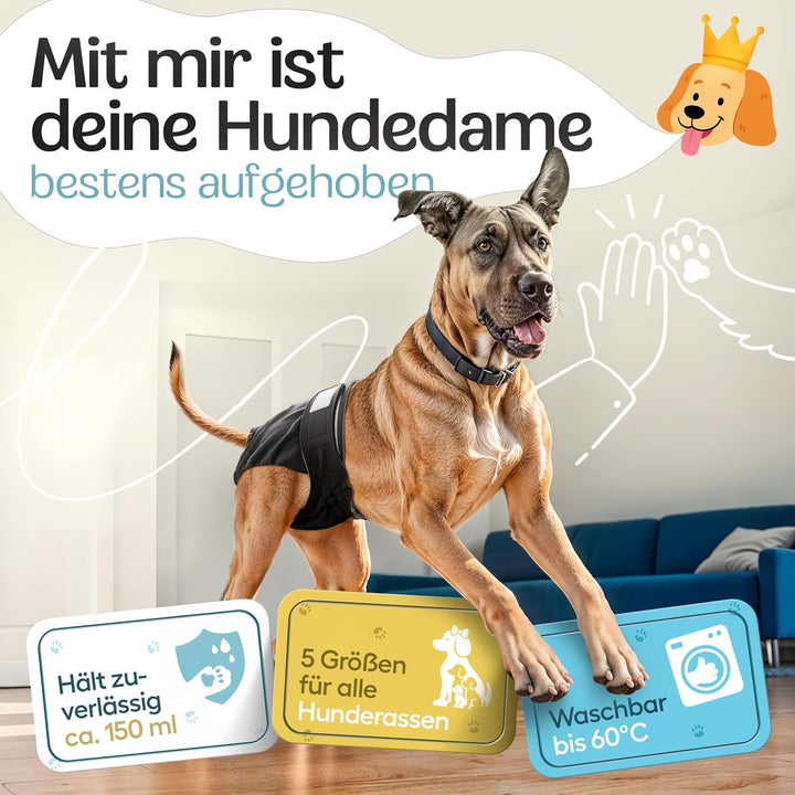 HUND IST KÖNIG® Hundewindeln für Hündinnen [3 STK] Saugstarke Läufigkeitshose für Hündinnen 3-Fach j