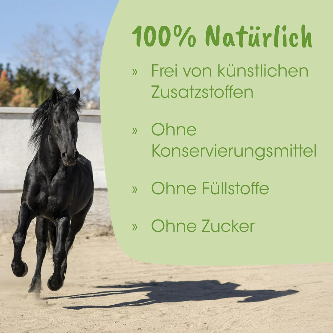 ArthroGreen Horse 700g | Natürlich gesunde Gelenke für Pferde 700 g, 700 g