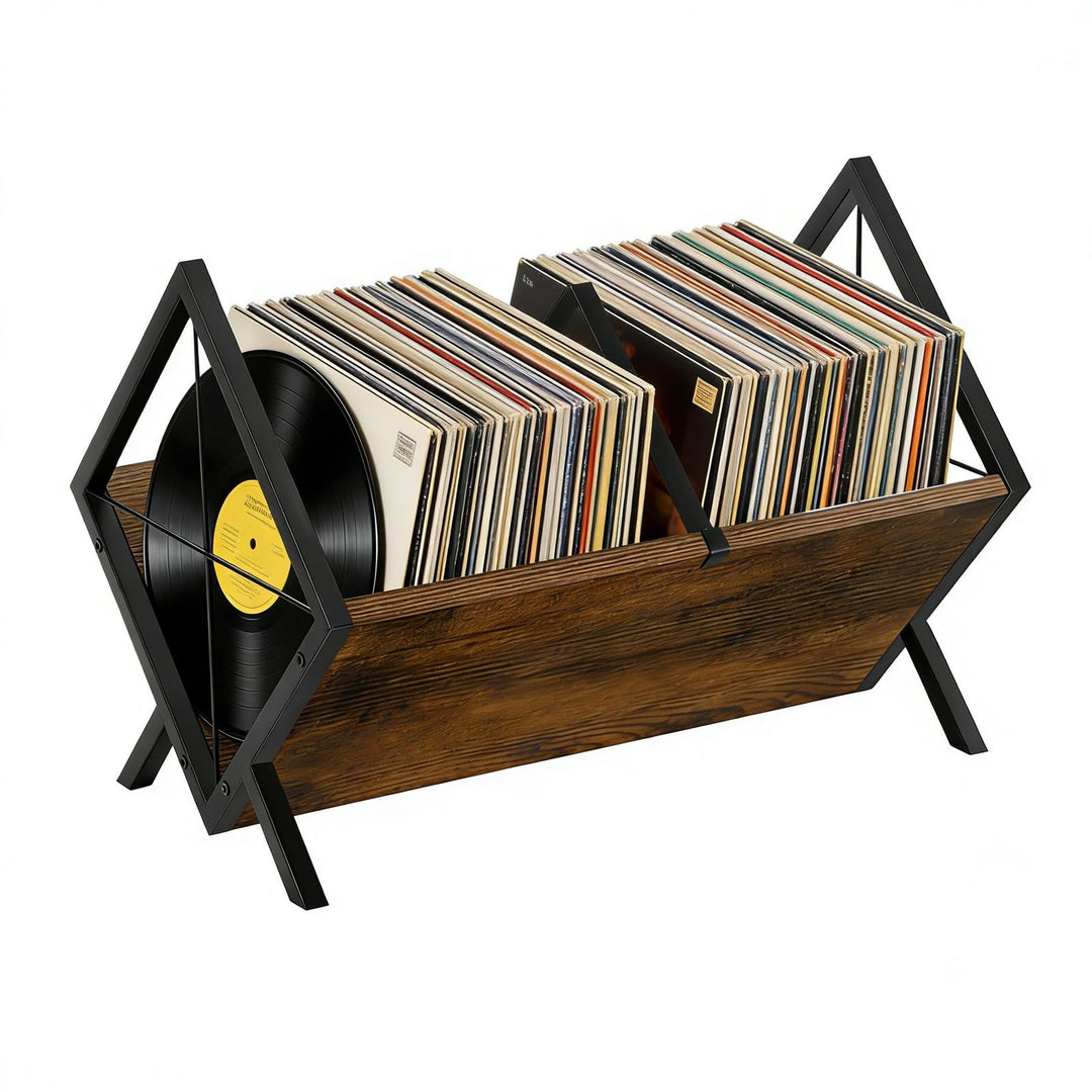 Vinyl Schallplatten Aufbewahrung, Schallplattenständer Aufbewahrung für 80–100 LPs, Vinyl Regal mit