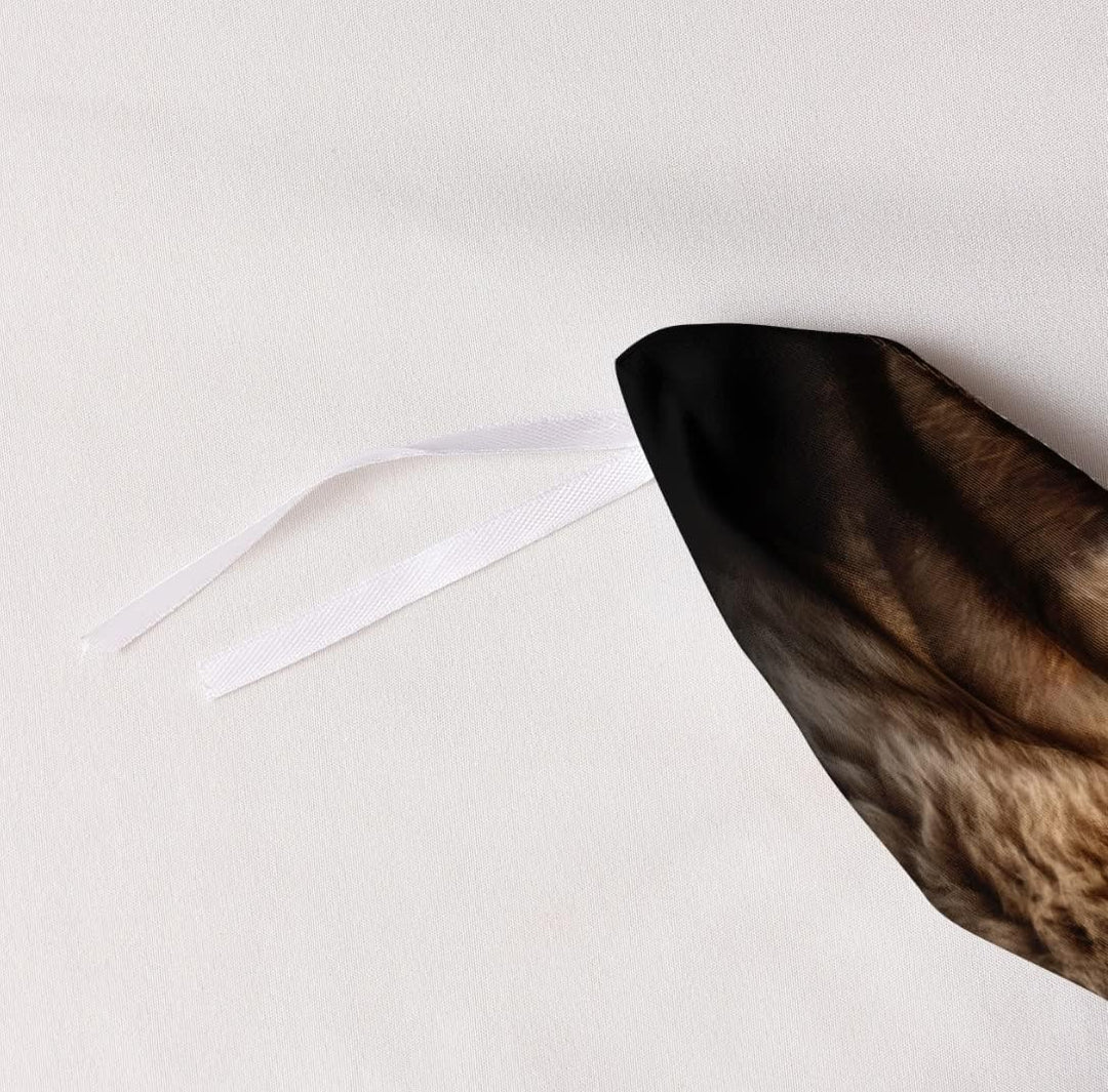 DXHOME Löwe Bettwäsche 135x200 3D Effekt Tiermotiv Bettwäsche 2 teilig Weich Schwarz Braun Mikrofase