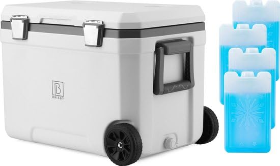 Brisby Kühlbox Camping - 45L, Kühlbox ohne Strom, inkl. 4 Dicke Kühlelemente, 3 Tage kühle Isolation