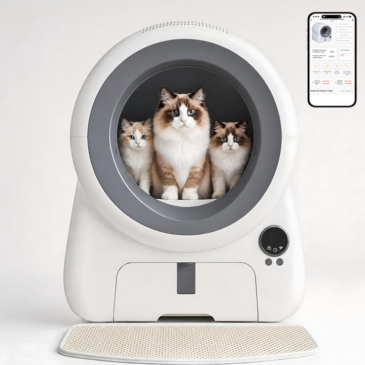JUMMICO Automatisches Selbstreinigende Katzentoilette, XXXL 100L Innenvolumen, 12L Sammelbehälter, A