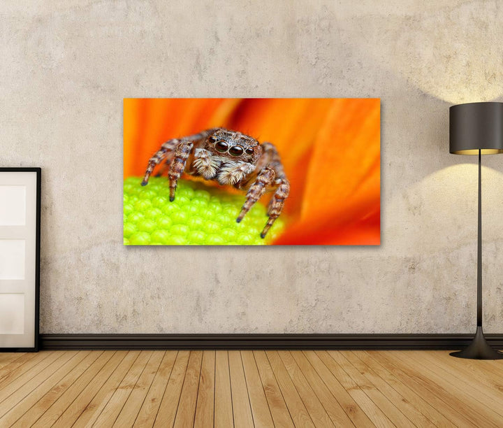 islandburner Bild auf Leinwand Springende Spinne Blume Bilder Wandbilder Poster, 80L x 40B cm