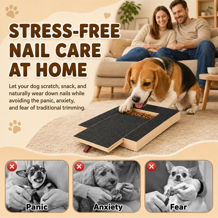 Kratzbrett für Hunde mit Leckerlibox 35x25x3cm, Stressfrei Kratzbrett für Hundekrallen, Hunde Kralle