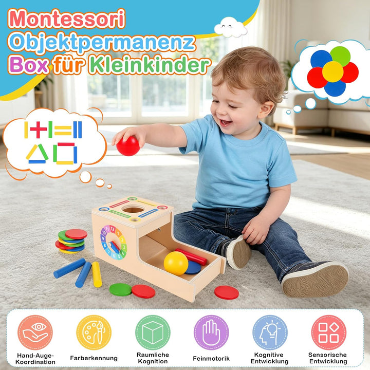 Montessori Spielzeug ab 1 Jahr, 5-in-1 Holz Objektpermanenz Box Montessori Spielzeug ab 2 3 Jahre Ba