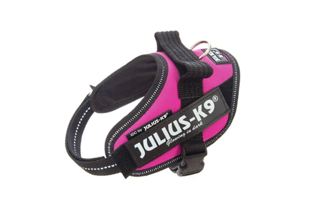 IDC Powergeschirr, Grösse: XS/Mini-Mini, Dunkelpink Dunkelpink XS/Mini-Mini, Dunkelpink XS/Mini-Mini