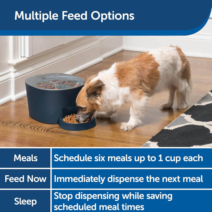 PetSafe Programmierbarer Tierfutterspender für 6 Mahlzeiten, automatischer Futterspender für Hunde u