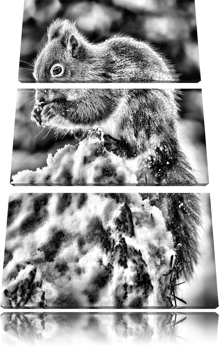 Pixxprint Monocrome, Kleines Eichhörnchen im Winter 3-Teiler Leinwandbild 120x80 Bild auf Leinwand