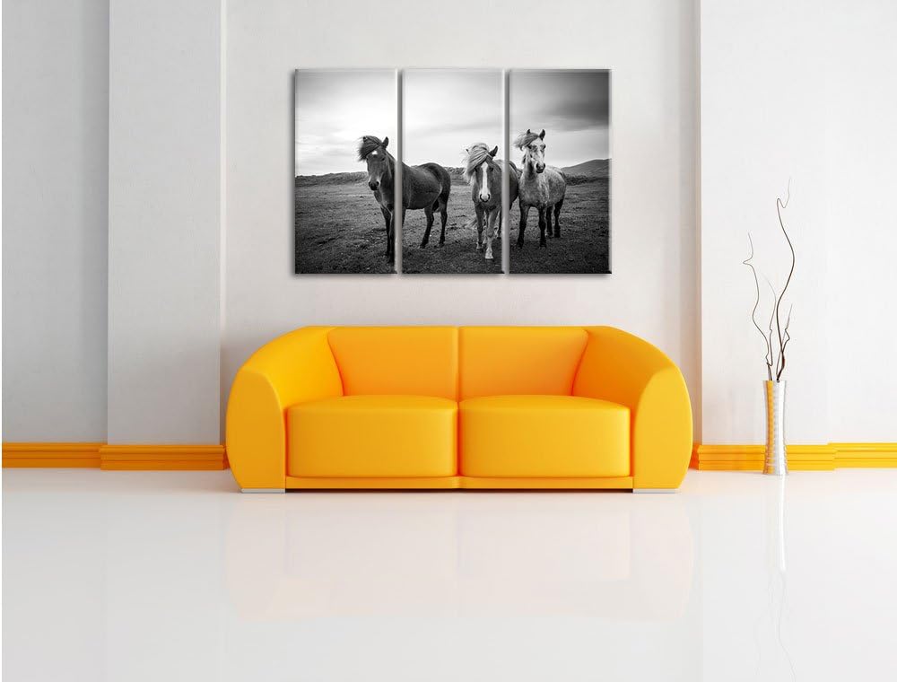 Pixxprint DREI Wilde Islandpferde Schwarz/Weiss 3-Teiler Leinwandbild 120x80 Bild auf Leinwand