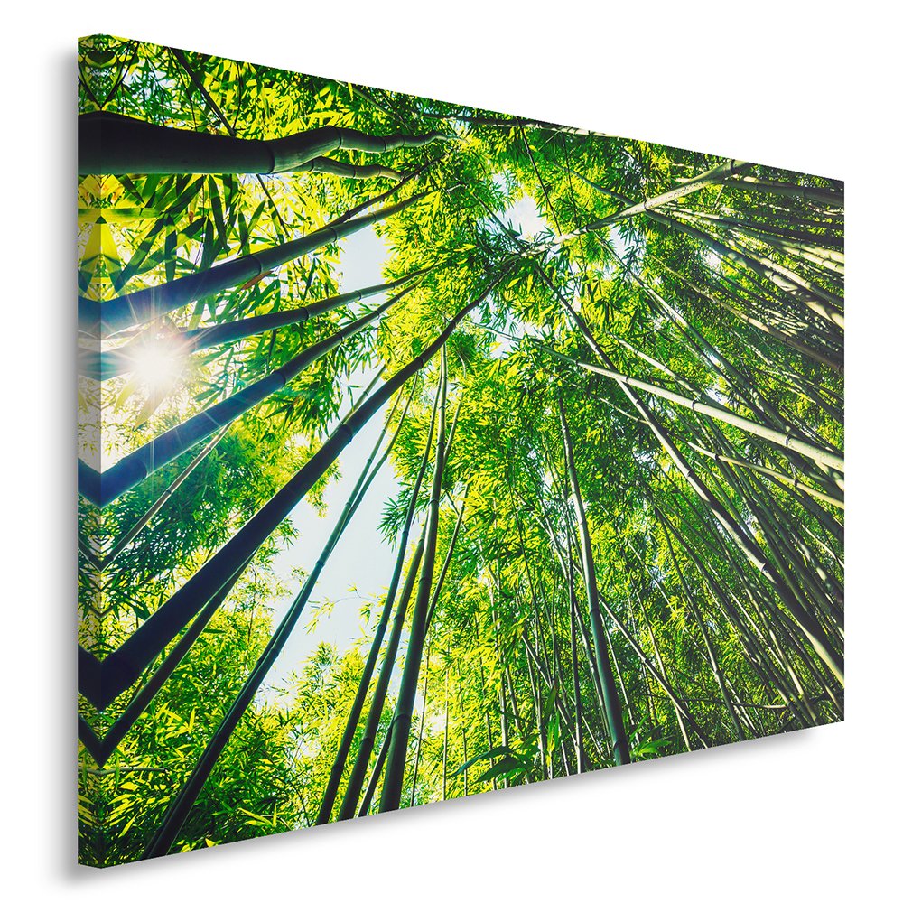 Feeby, Leinwandbild, Bilder, Wand Bild, Wandbilder, Kunstdruck 70x100cm, Wald, GRÜN, Natur, BÄUME, D
