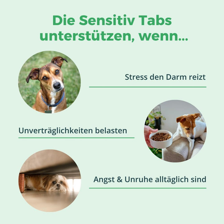 purapep Comfort Sensitv Tabs - Natürliches Beruhigungsmittel mit Tryptophan, Magnesium und B-Vitamin