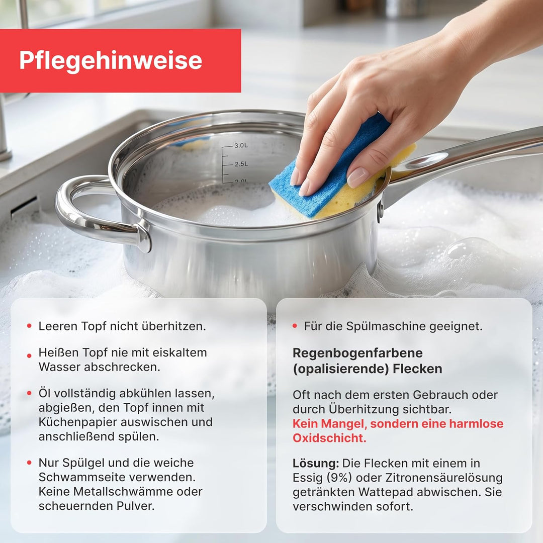 Frittiertopf 3,5 L Edelstahl Fritteuse mit Frittierkorb und Glasdeckel Pommestopf für alle Herdarten