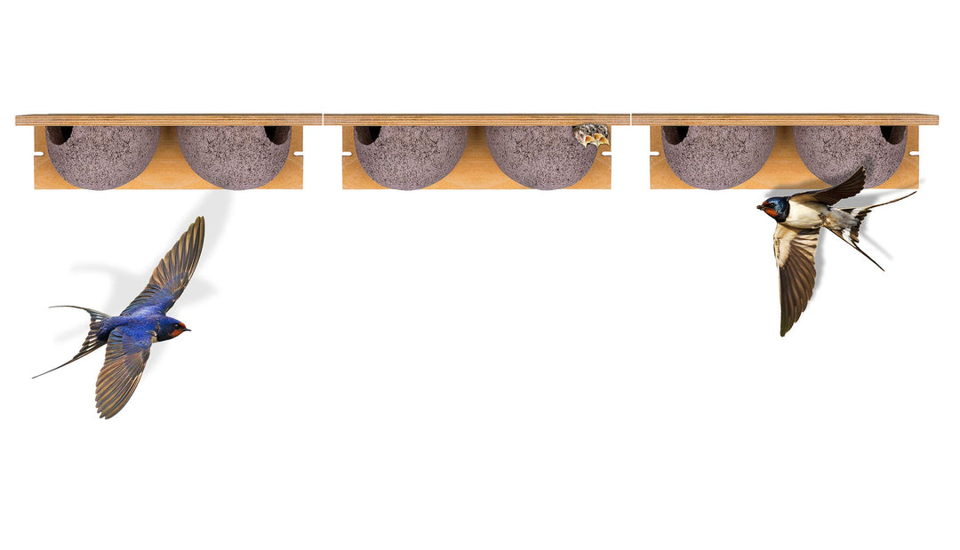 BigDean 3 Stück Schwalbennistkasten Doppelnest Schwalbennest Mehlschwalbennest Nistkasten Nisthilfe