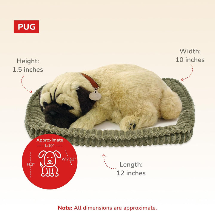 Plenty Gifts 96194 Perfect Petzzz Soft Pug, Universalgrösse, One