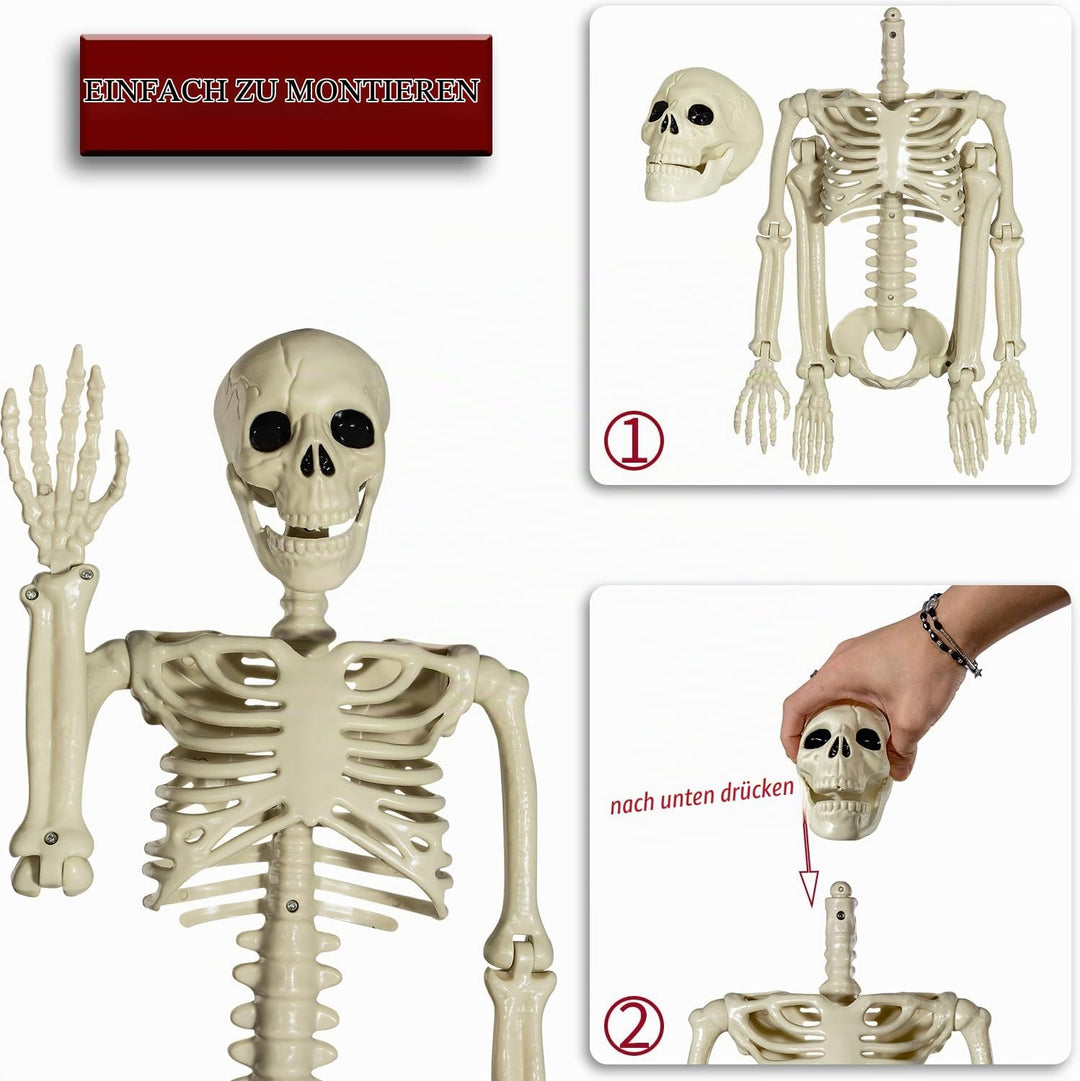 SIFOEL Halloween Plastikskelett, 90cm Ganzkörper Halloween Skelett mit beweglichen Gelenken für Hall