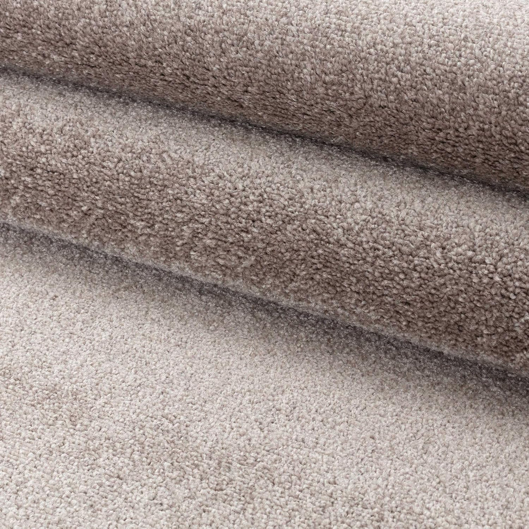 Carpetsale24 Teppich Wohnzimmer Dichter Kurzflor Einfarbig Teppich Modern Robust Rechteckig und Rund
