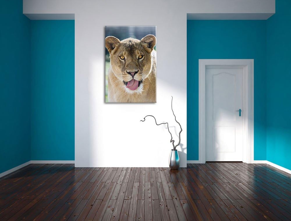 Pixxprint schöne Löwin auf Leinwand, XXL riesige Bilder fertig gerahmt mit Keilrahmen, Kunstdruck au