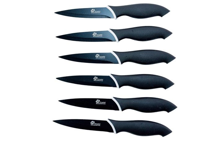 Pradel Excellence CC006N Kasten mit 6 Antihaft-Steakmessern aus rostfreiem Edelstahl, Anisfarben Sch