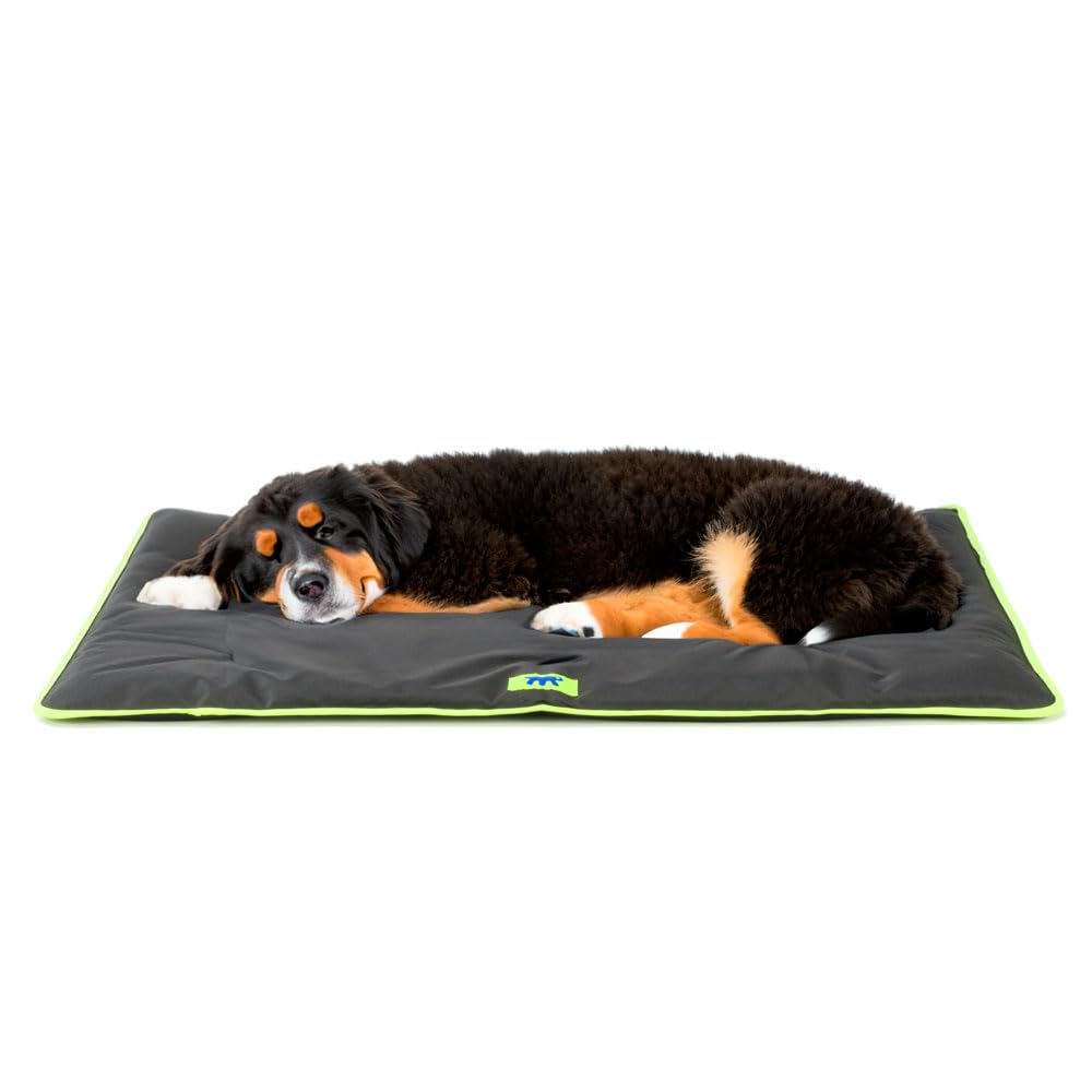 FERPLAST Hundematte Extra Gross - Waschbares Hundebett - Hundekissen - Wasserdicht & Kratzfest - Mat