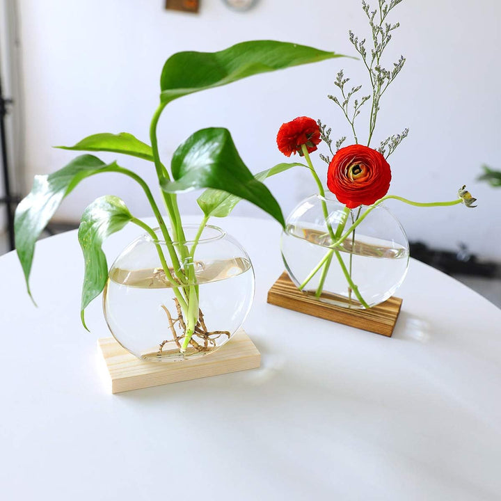 Tischplatte hängen Glas Pflanzer Pcs von 2 Vermehrungsstation Moderne Blumenknospe Vase in Holz Steh