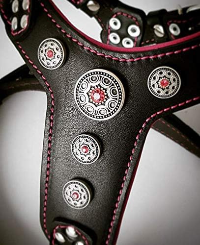 Bestia |Bijou| Leder Brustgeschirr für Kleine bis Mittelgrosse Hunde. 100% Leder. Handgefertigt. Top