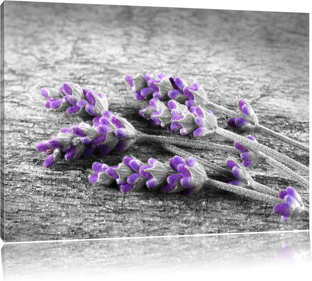 liegender Lavendel auf Stamm schwarz/weiss Format: 100x70 auf Leinwand, XXL riesige Bilder fertig ge