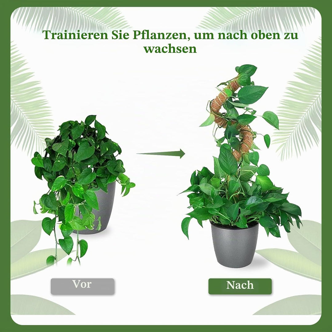 RYHX 4er Set 65cm Biegbare Monstera Rankhilfe, Moosstab und Pflanzstab für Zimmerpflanzen 4×65CM, 4×
