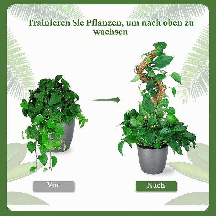 RYHX 4er Set 65cm Biegbare Monstera Rankhilfe, Moosstab und Pflanzstab für Zimmerpflanzen 4×65CM, 4×