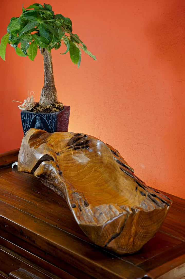 Kinaree Deko Schale Wurzelholz - Schale Teak Massivholz - 55-65cm Obst Schale