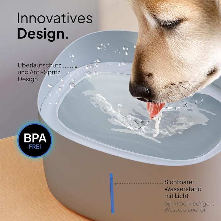 Pretty PAW® Trinkbrunnen für Hunde I Super leiser Hunde Trinkbrunnen mit 7 Liter Wassertank I BPA-fr