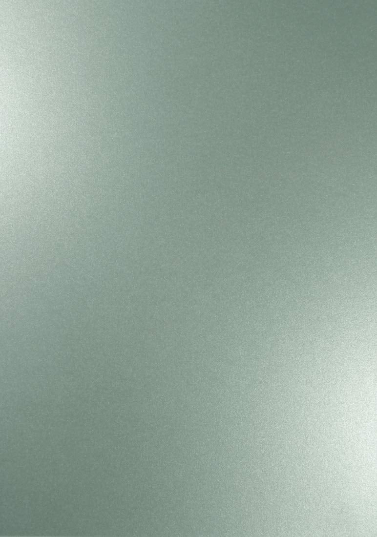 Netuno 100x Perlmutt-Silber Bastel-Papier DIN A4 21 x 29,7 cm 120g Majestic Moonlight Silver Feinpap