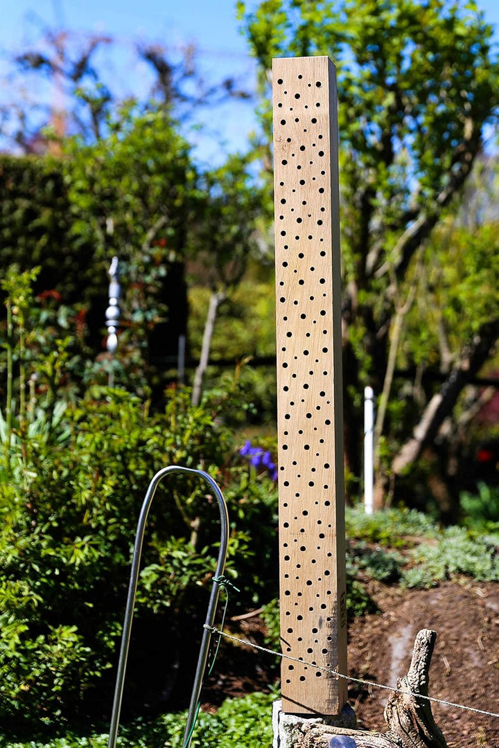Bienenhotel Stamm Insektenhotel Wildbienen Eiche Massivholz Hartholz Wildbienenhotel Nisthilfe Biene
