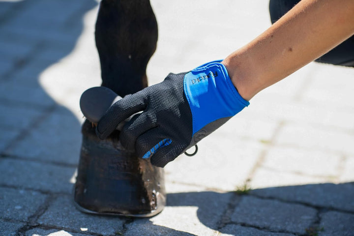 Roeckl Sports Reithandschuh Lynn, Ladies Sommer Handschuh, 2 Farben, Grösse 6-8.5 6 Anthrazit, 6 Ant