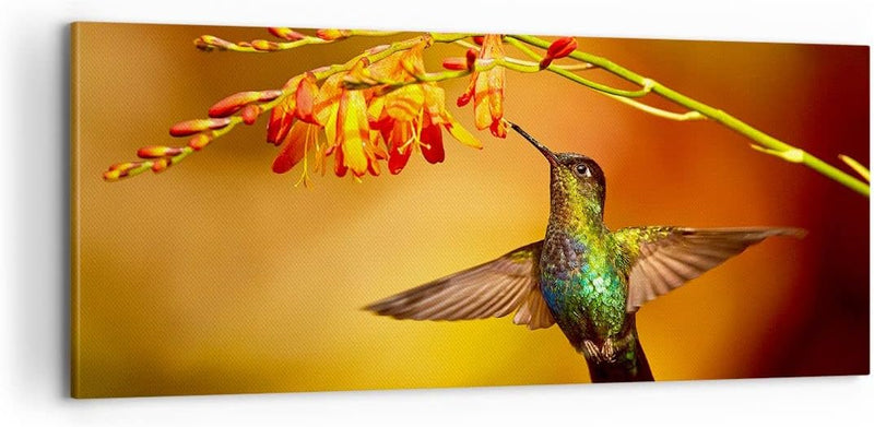 Panorama Bilder auf Leinwand 100x40cm Leinwandbild Kolibri Vogel Sommer Gross Wanddeko Bild Schlafzi