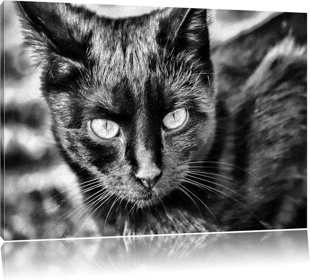 Monocrome, schwarze Katze, Format: 100x70 auf Leinwand, XXL riesige Bilder fertig gerahmt mit Keilra