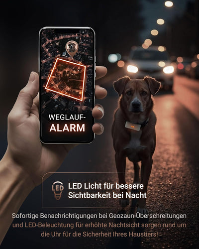 PAJ GPS Tracker für Hunde - 4G - Weglaufalarme + weltweite Live-Ortung - bis zu 10 Tage Akkusparmodu